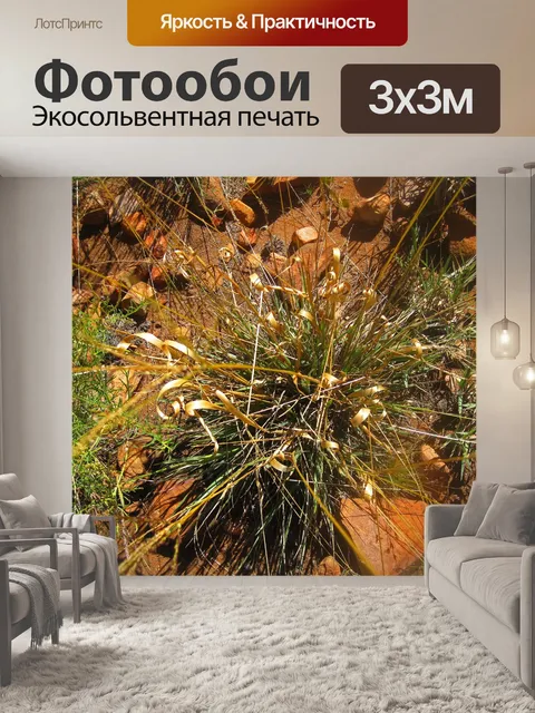 Фотообои люблю траву, напоминающую золотую ленточ