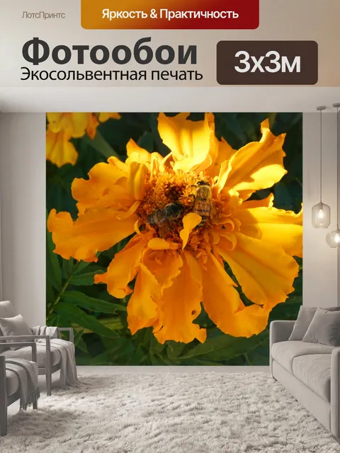 Фотообои Две пчелы на желтом цветке