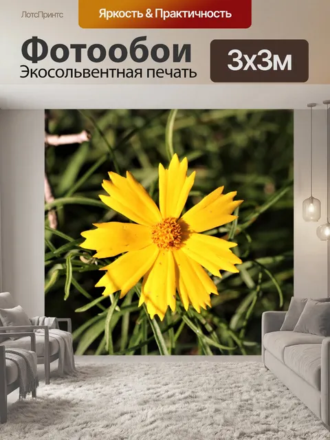 Фотообои Желтый камфорный цветок сорняков крупным