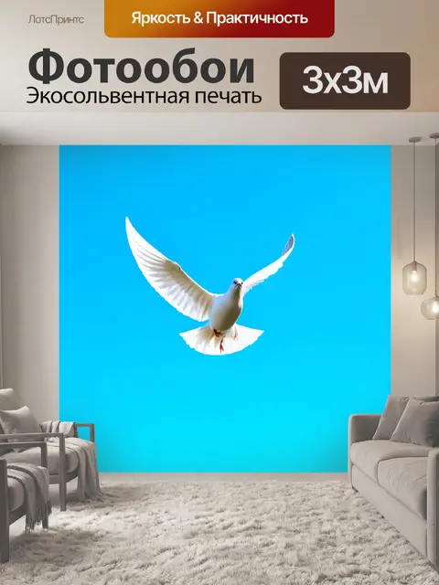 Фотообои белый голубь, парящий в ярком лазурном небе