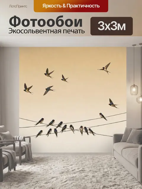 Фотообои Ласточки в небе над проводами