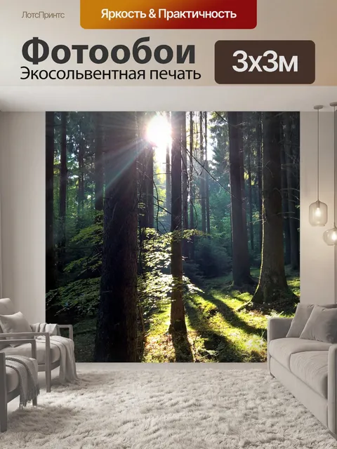 Фотообои Утреннее солнце