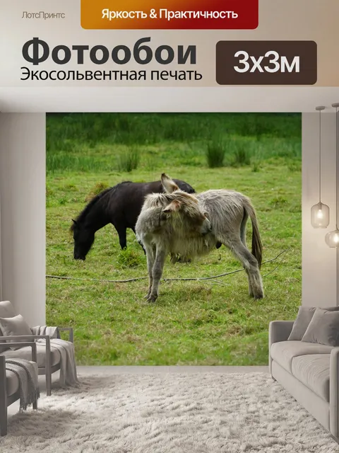 Фотообои Пони и осел на лугу