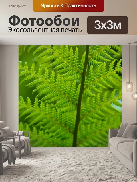 Фотообои папоротник