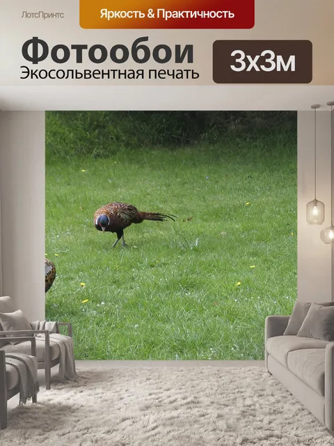 Фотообои Животные