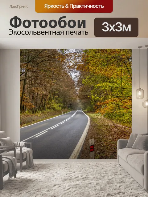 Фотообои Осенняя дорога