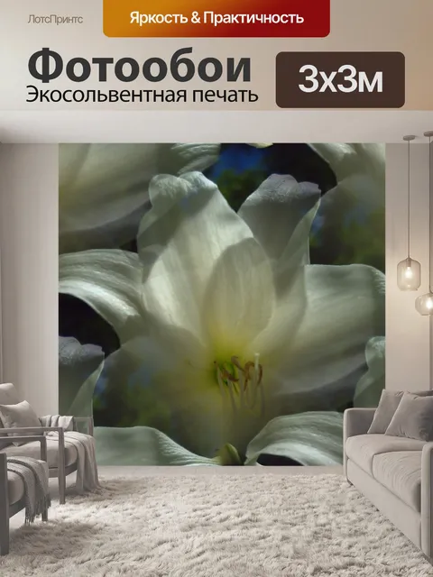 Фотообои Белая лилия Бесшовные подарка бумажный