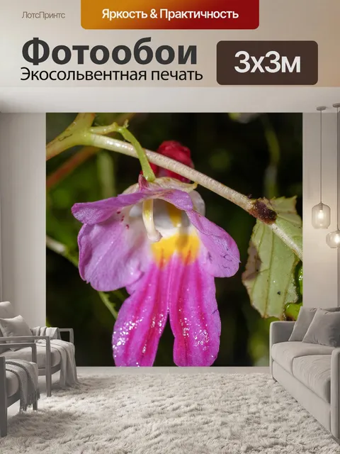 Фотообои Цветок попугая Чианг Дао, Чианг Май