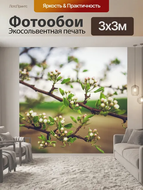 Фотообои Молодой
