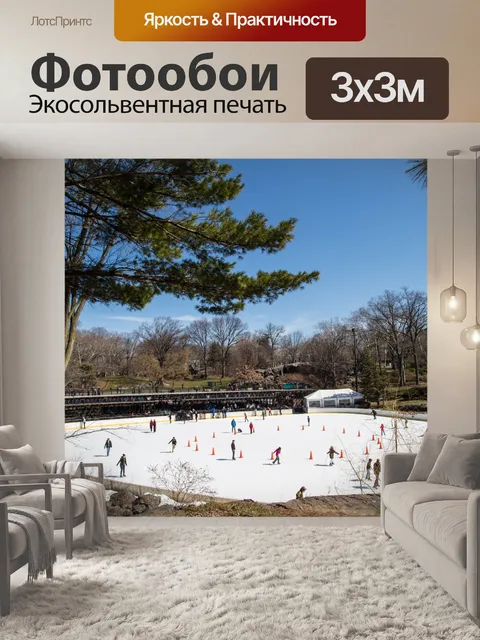 Фотообои Каток в Центральном парке