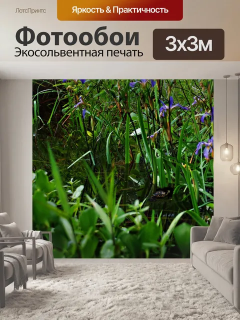Фотообои Цветы