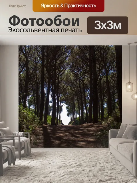 Фотообои Сосновый лес