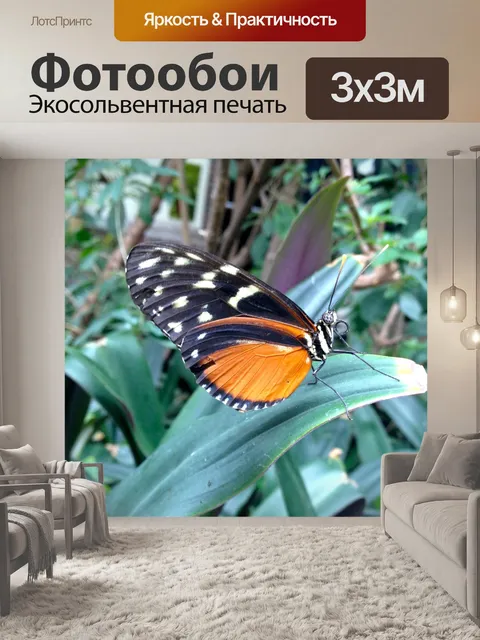 Фотообои Тигр Лонг-крыло бабочки