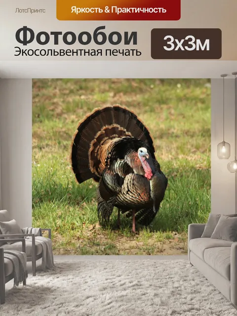 Фотообои Дикий Том Турция весной