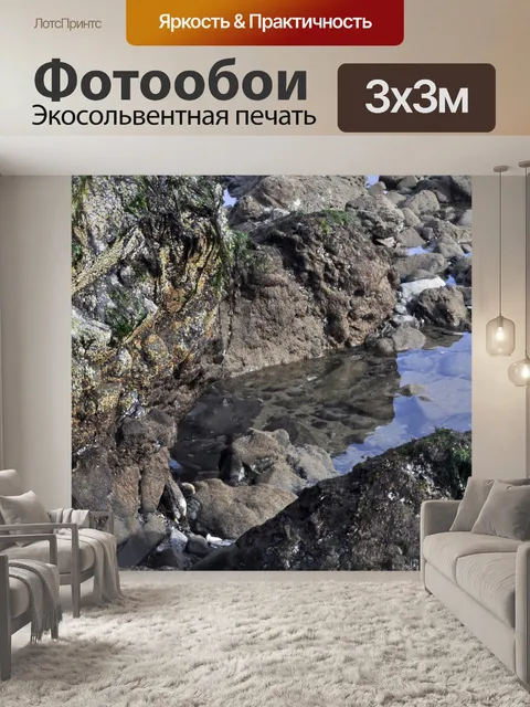 Фотообои Светоотражающие Tidepool