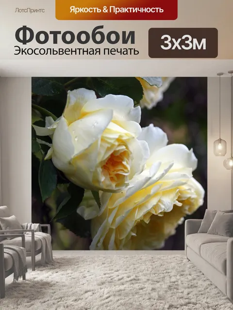 Фотообои Плетистая роза