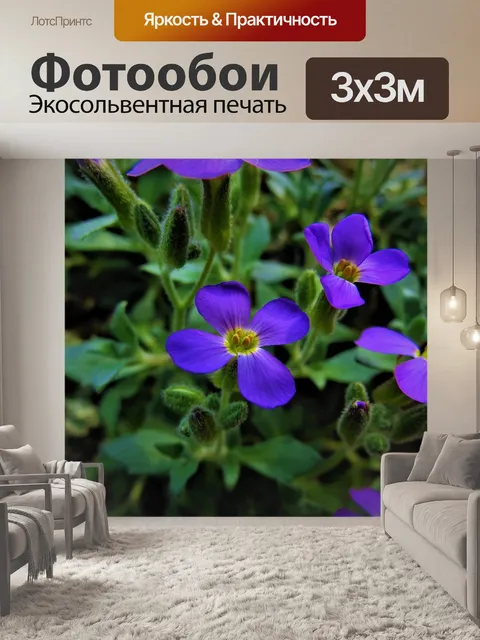 Фотообои Детали цветка