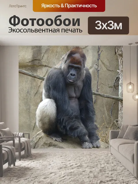 Фотообои Серебро назад
