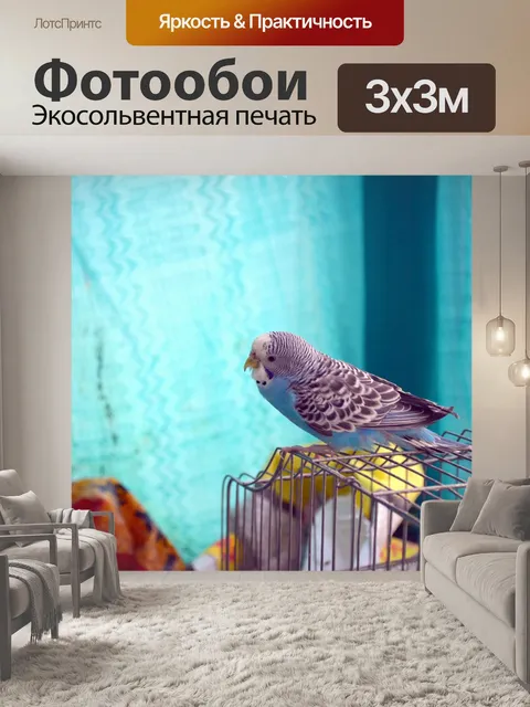 Фотообои Синий Волнистый попугайчик