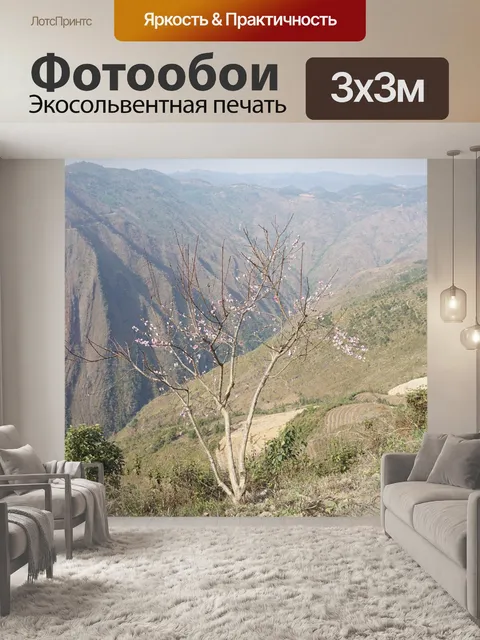 Фотообои Хаганг