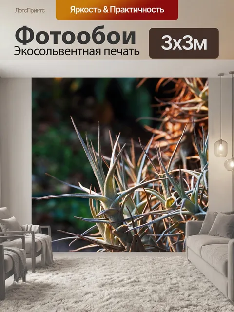 Фотообои солнечный свет на светло-зеленом эпифите