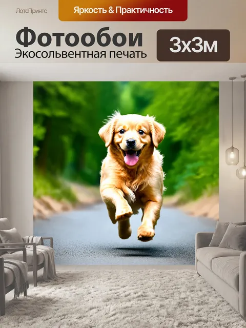 Фотообои Щенок золотистого ретривера бежит по дороге