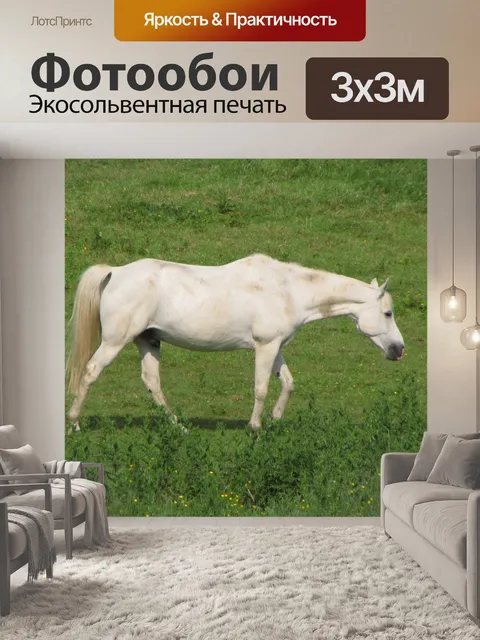 Фотообои White Horse 2