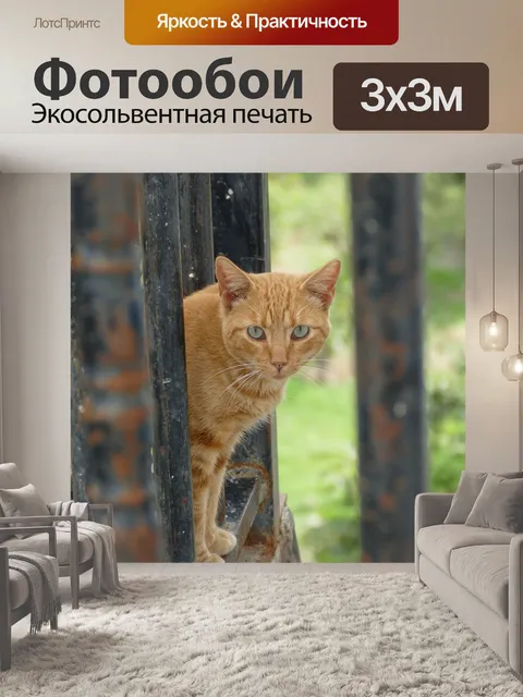 Фотообои Кошка
