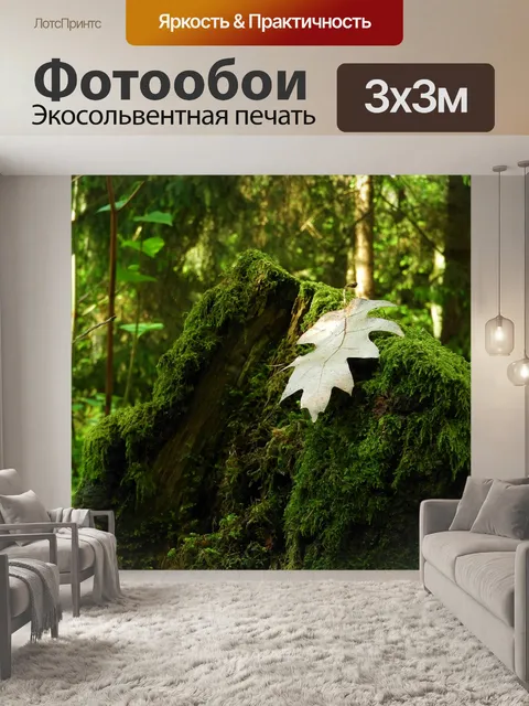 Фотообои Лист