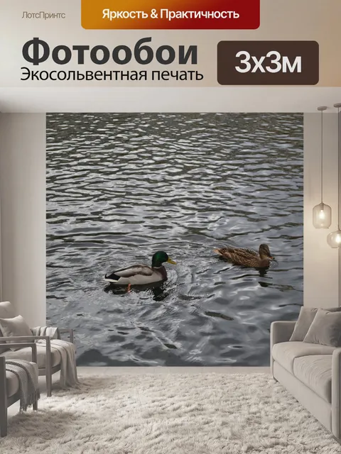Фотообои утки