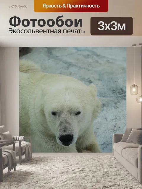 Фотообои Белый медведь