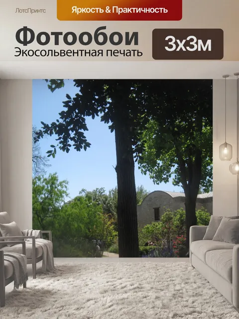 Фотообои Дерево в Аламо