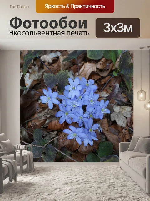 Фотообои Печеночник