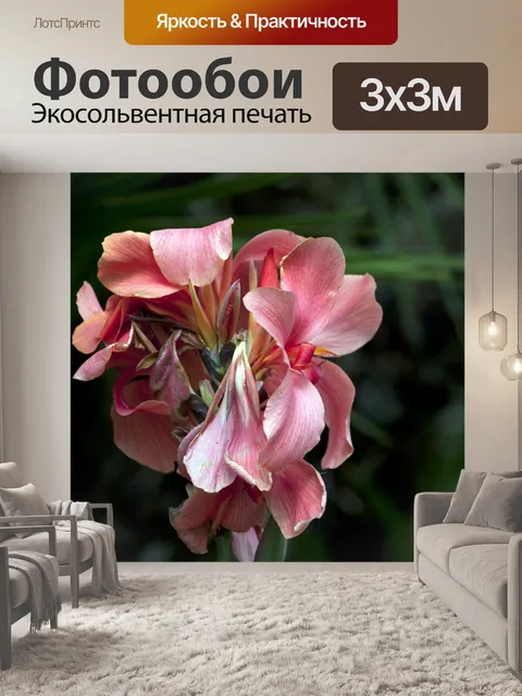 Фотообои Розовые цветы