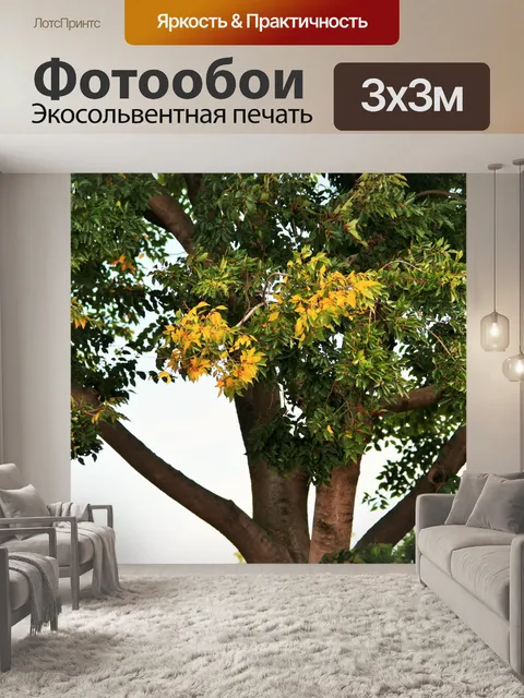 Фотообои дерево с желтыми листьями