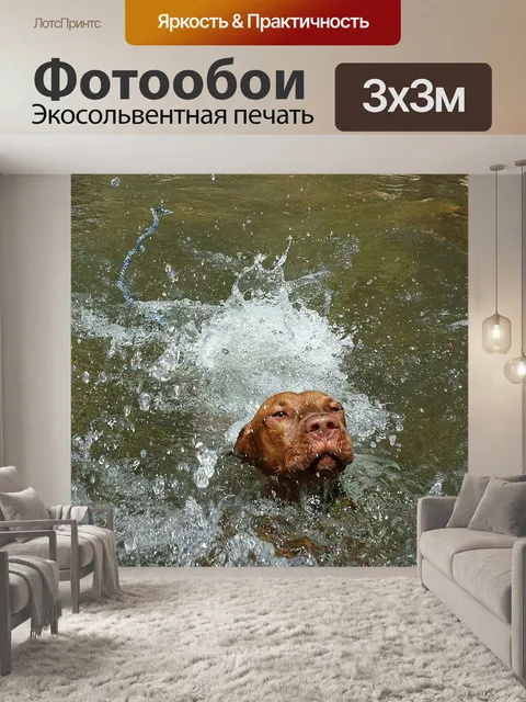 Фотообои Собака