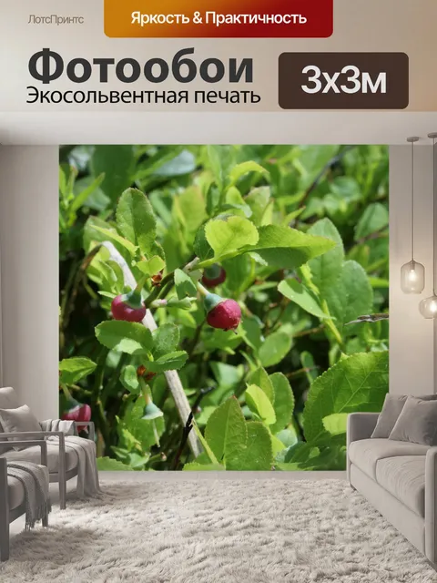 Фотообои Черника цветы