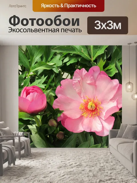 Фотообои Японский пион