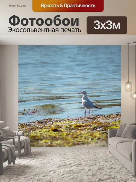 Фотообои Птица