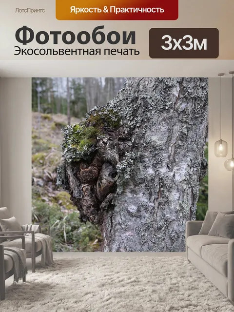 Фотообои Береза
