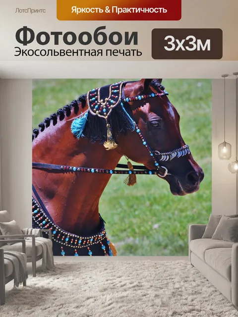 Фотообои Арабский