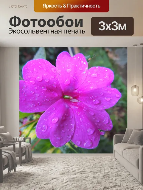Фотообои Цветок