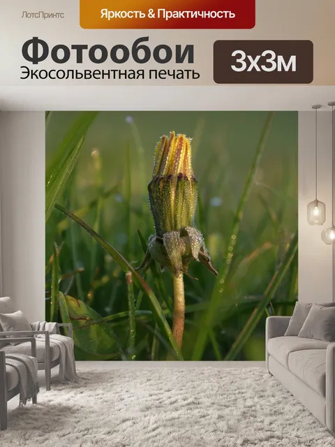 Фотообои Утренняя роса