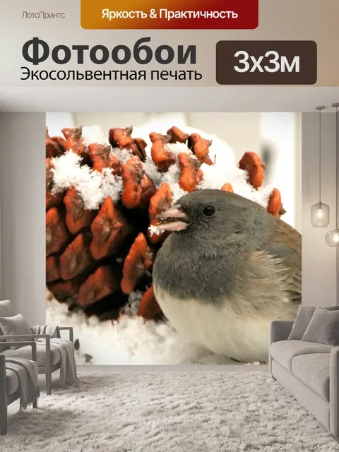 Фотообои Темноглазый Джунко и Сосновый конус