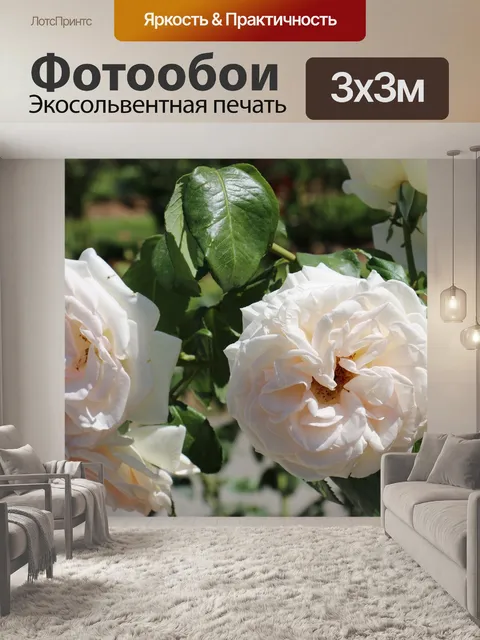 Фотообои Цветы