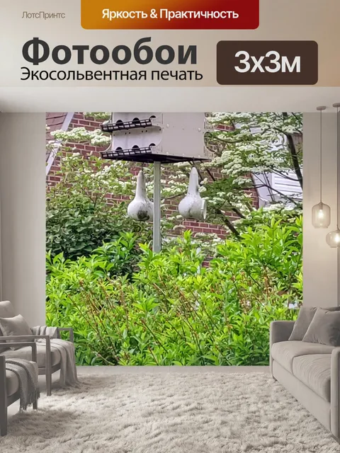 Фотообои Кизил
