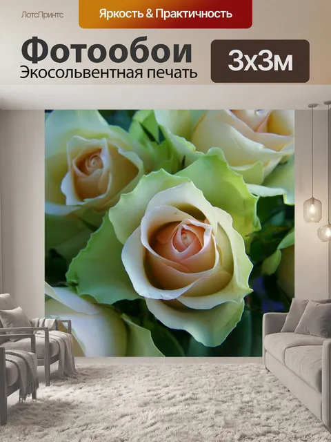 Фотообои Букет из роз