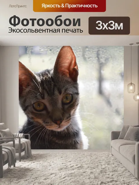 Фотообои А почему ты спрашиваешь?