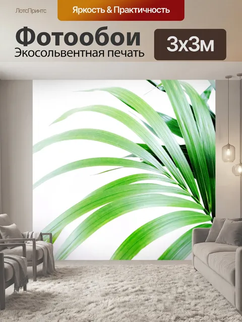 Фотообои Пальмовых листьев