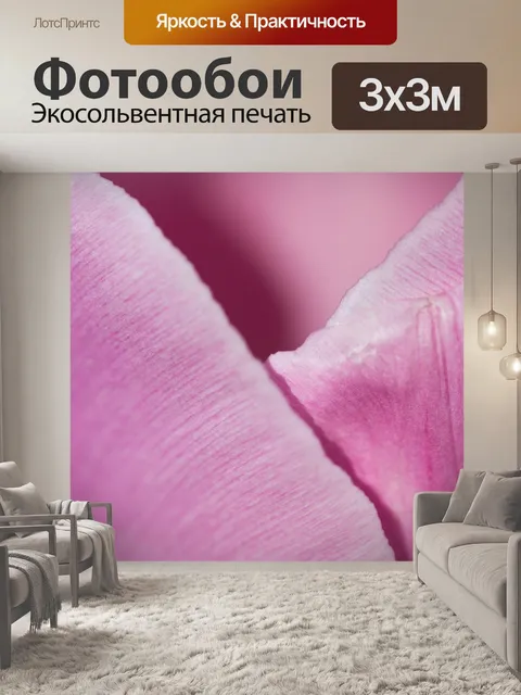 Фотообои Розовые тюльпаны